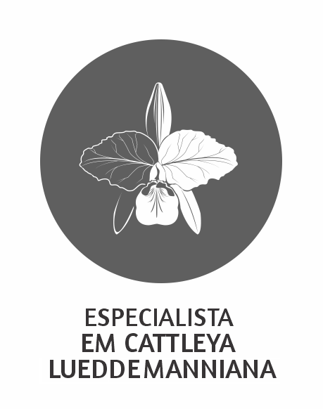 Cattleya Lueddemanniana