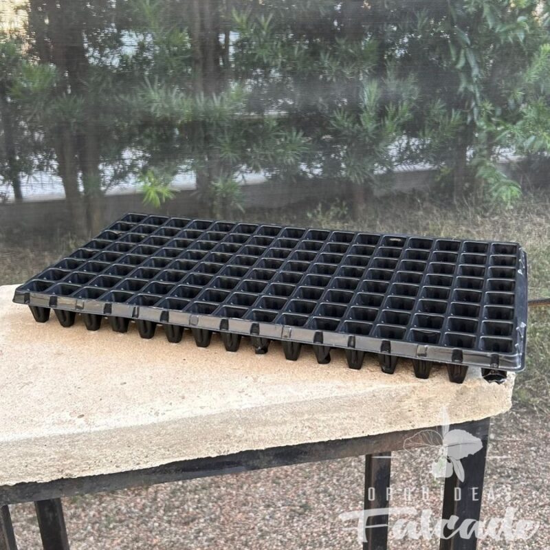 Bandeja 128 células